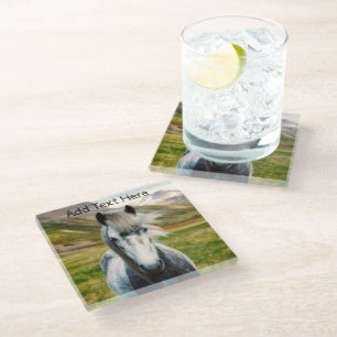 Wild Grey Horse in the Mountains Glass Coaster