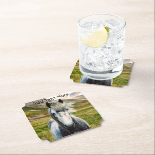 Wild Grey Horse in the Mountains Paper Coaster