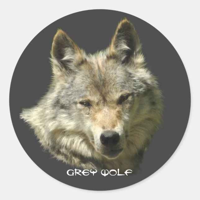WILD GREY WOLF Wildlife Stickers (Front)
