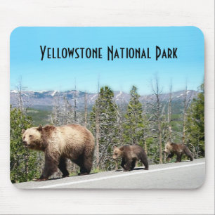 Wild Grizzly Bear Mama and Cubs in Yellowstone Mouse Mat