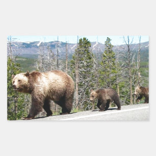 Wild Grizzly Bear Mama and Cubs in Yellowstone Rectangular Sticker
