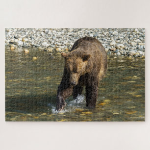 Wild Grizzly Trying To Catch Salmon At The Toba Jigsaw Puzzle