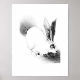 Wild Hare Card Poster