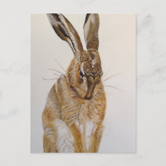 Wild Hare Postcard Acrylic Painting (Front)