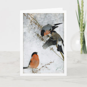 Wild Hare (Rabbit) Studies, Bruno Liljefors Card