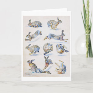 Wild Hare (Rabbit) Studies, Bruno Liljefors Card