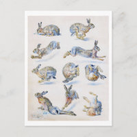 Wild Hare (Rabbit) Studies, Bruno Liljefors