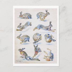 Wild Hare (Rabbit) Studies, Bruno Liljefors Postcard