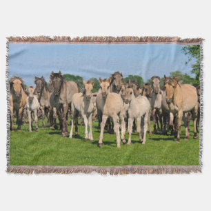 Wild Herd Grullo Coloured Dulmen Horses Foals  cos Throw Blanket