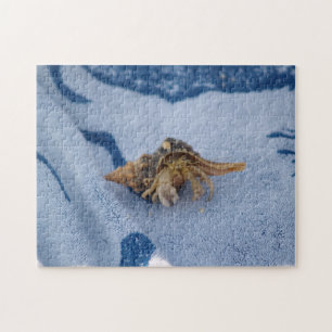 Wild Hermit Crab In Shell Ocean Life Photo Jigsaw Puzzle