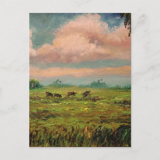 Wild Hog Hunting in Florida Postcard (Front)