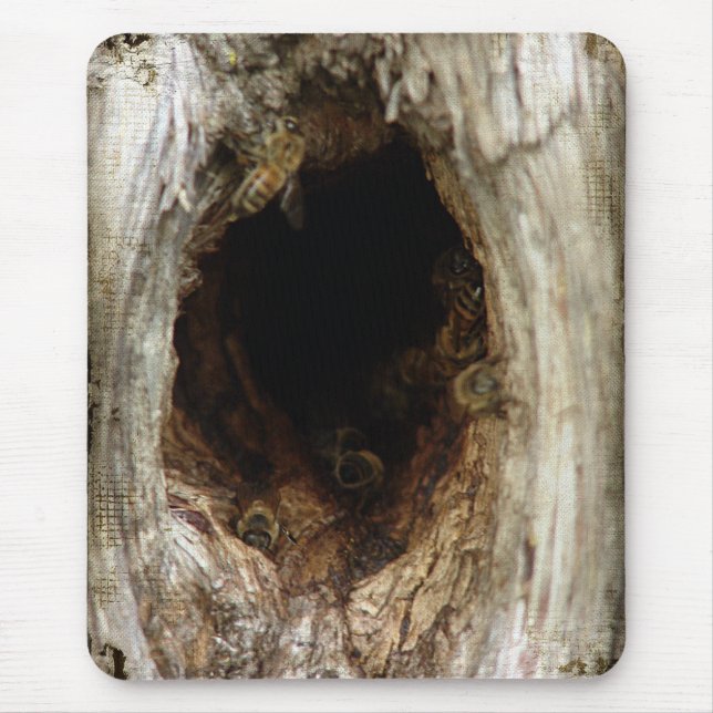 Wild Honey Bees in a Hollow Tree Mouse Mat (Front)