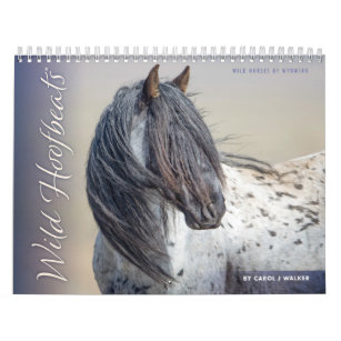 Wild Hoofbeats: Wild Horses of Wyoming Calendar