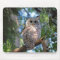 Wild Hoot Owl Staring in Forest