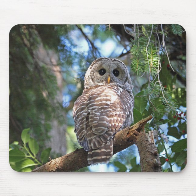 Wild Hoot Owl Staring in Forest Mouse Mat (Front)