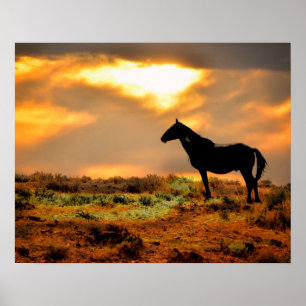 Wild Horse at Sunset Poster