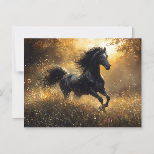 Wild Horse Black Stallion Mustang Postcard