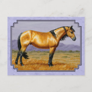 Wild Horse Buckskin Stallion Purple Postcard