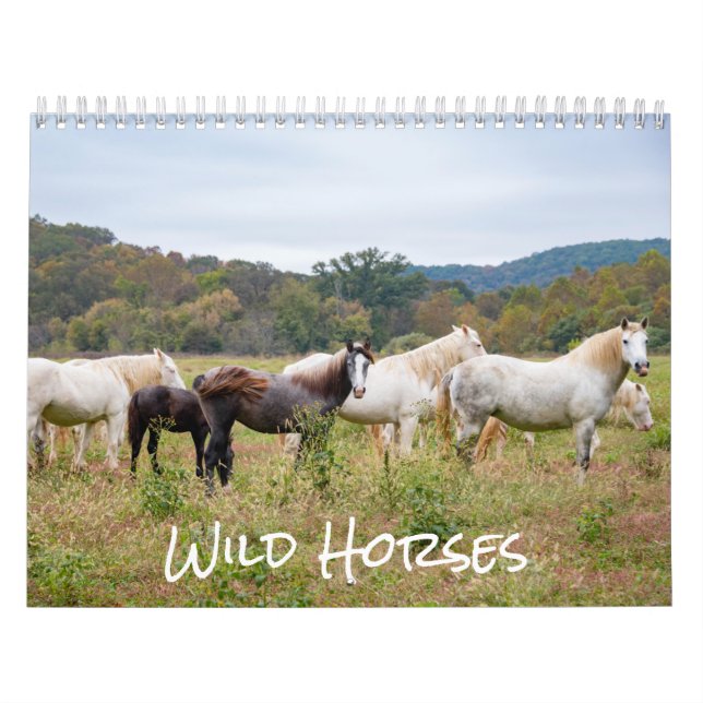 Wild Horse Calendar (Cover)