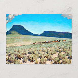 “Wild Horse Country” by Maynard Dixon Postcard