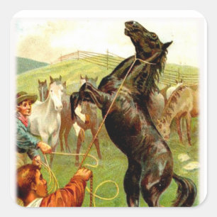 Wild Horse Cowboy Stickers