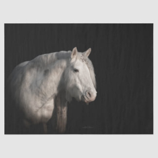 Wild Horse Decoupage Tissue Paper