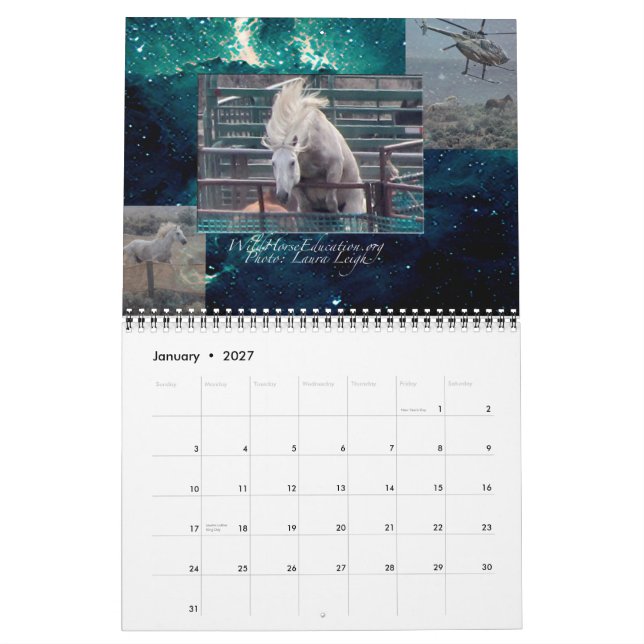 Wild Horse Education ... a calendar (Jan 2027)