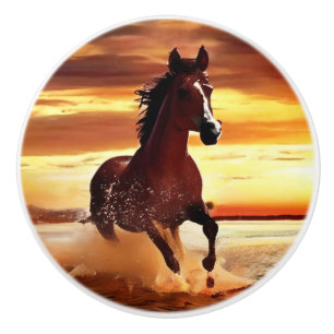 Wild Horse Galloping Through Surf Ceramic Knob