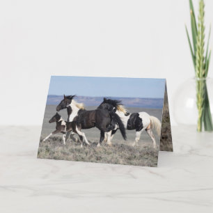 Wild Horse Greeting Card - Gadriel and His Family