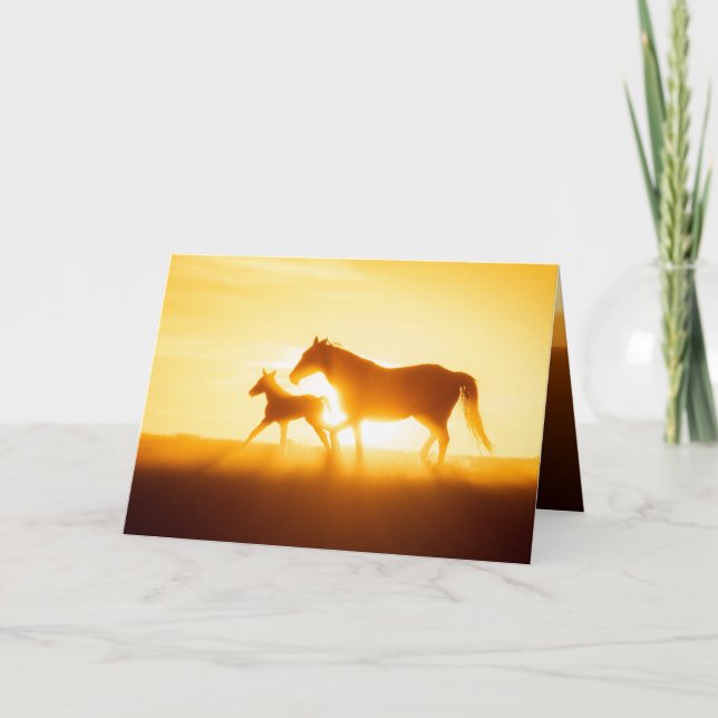 Wild Horse Greeting Card - Hope (Front)