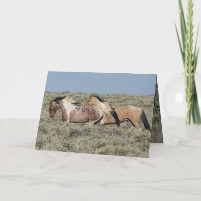 Wild Horse Greeting Card Two Colourful Stallions (Front)