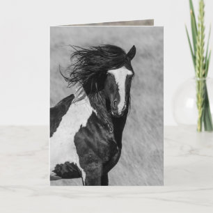 Wild Horse Greeting Card - Washakie on Fire