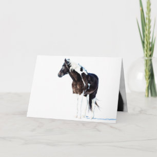 Wild Horse Greeting Card - Winter Paint