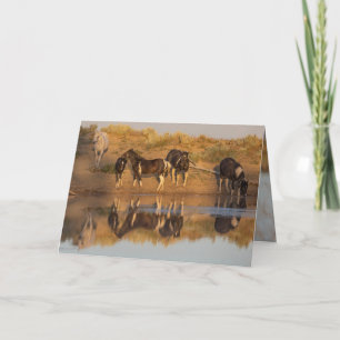 Wild Horse Greeting Cards - Wild Family at Oasis