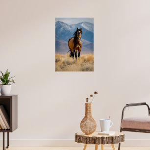 Wild Horse in Mountain Plains Poster