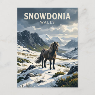 Wild Horse in Snowdonia United Kingdom Postcard