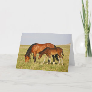 Wild Horse Mother and Colt Grazing Card