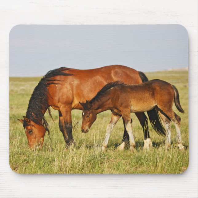 Wild Horse Mother and Colt Grazing Mouse Mat (Front)