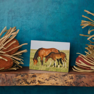 Wild Horse Mother and Colt Grazing Plaque