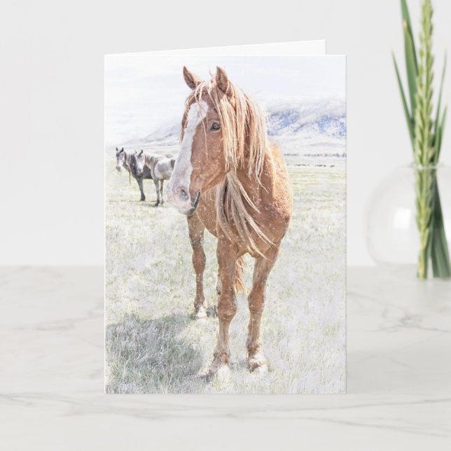 Wild Horse Mustang Christmas (snowflakes interior) Holiday Card (Front)