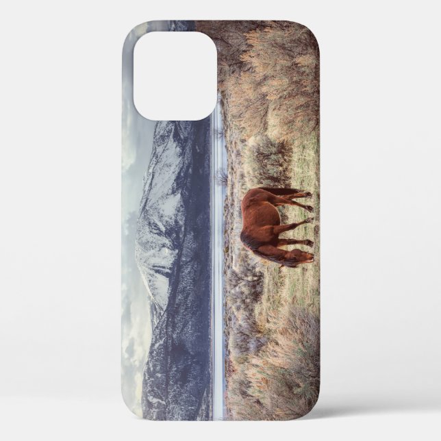 Wild horse: Nevada winter landscape. Case-Mate iPhone Case (Back)
