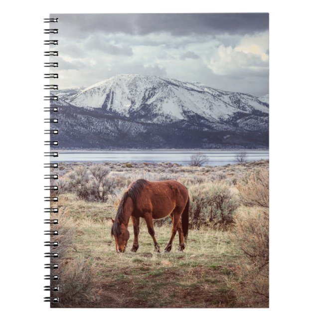 Wild horse: Nevada winter landscape. Notebook (Front)