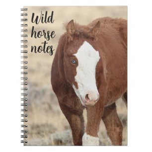 Wild Horse Notes Notebook