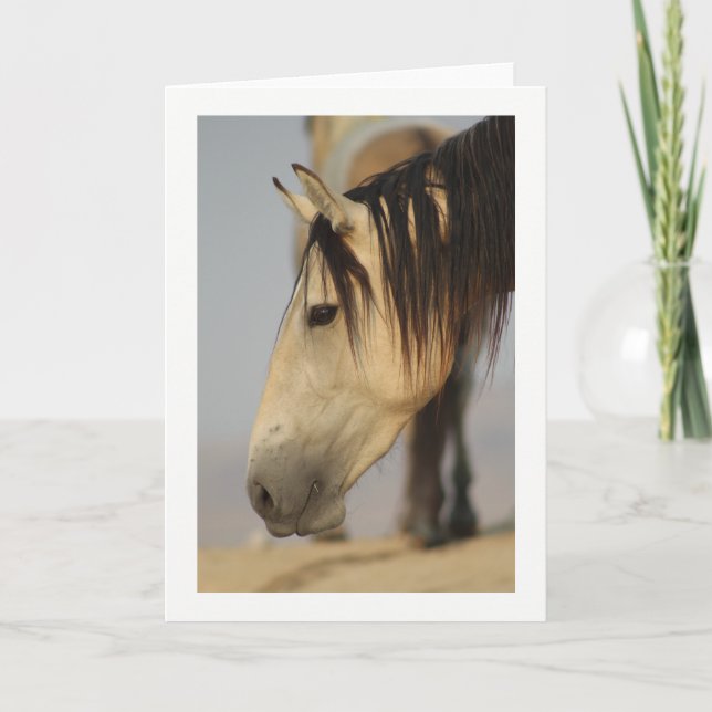 WILD HORSE OF UTAH GREETING CARD (Front)