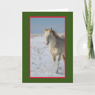 WILD HORSE OF UTAH IN THE SNOW CHRISTMAS Card