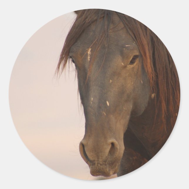 WILD HORSE OF UTAH IN WESTERN DESERT CLASSIC ROUND STICKER (Front)