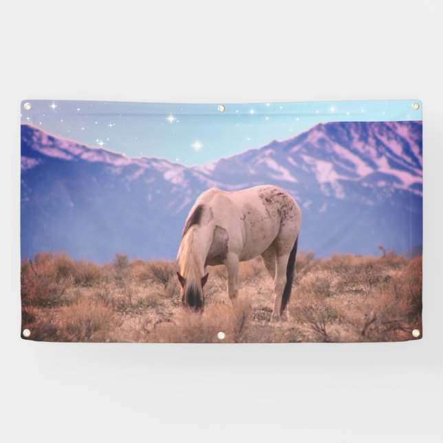 WILD HORSE OF UTAH PINTO UNDER STARS ONAQUI Banner (Horizontal)