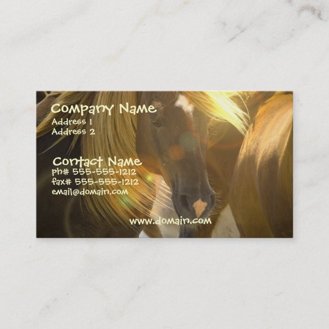Wild Horse Photo Business Card (Front)