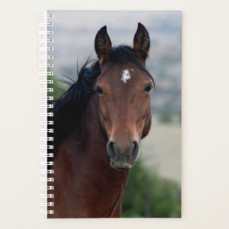 Wild Horse Planner