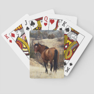 Wild Horse Playing Cards